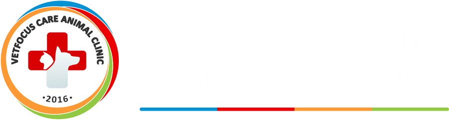 Vetfocus Care Animal Clinic